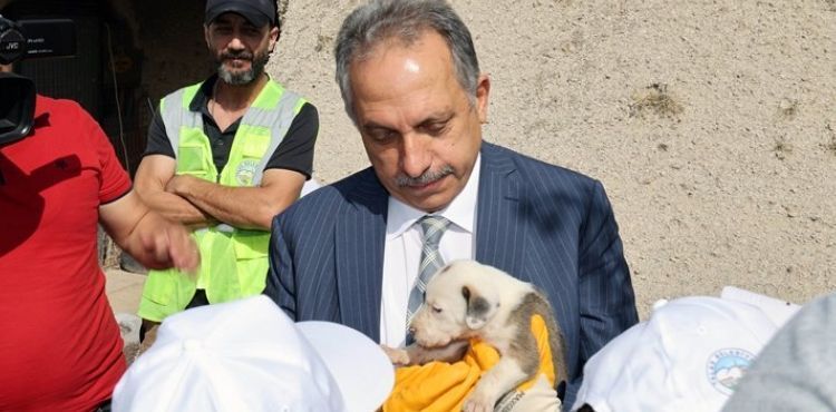 HAYVANLARI KORUMA GÜNÜ PATİEVİ'NDE KUTLANDI