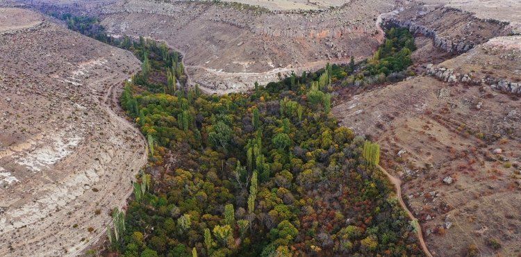 Koramaz Vadisi’ndeki taş ocağı davasında hukuki süreç devam ediyor