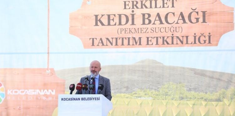 BAŞKAN ÇOLAKBAYRAKDAR’DAN ERKİLET KEDİ BACAĞI ETKİNLİĞİNE DAVET