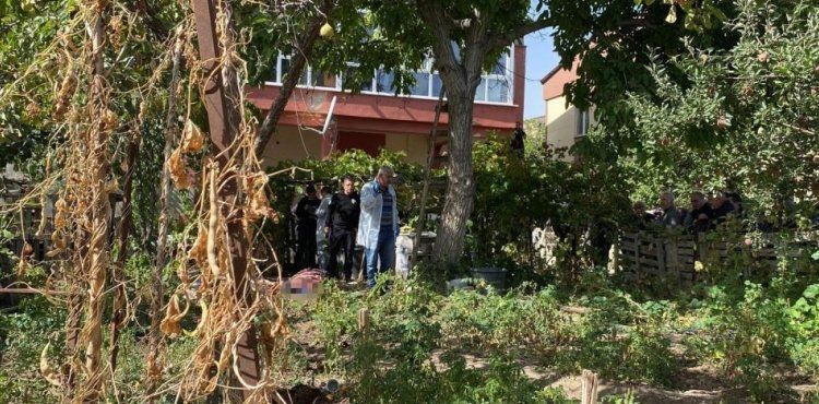 Ceviz ağacından düşen şahıs hayatını kaybetti