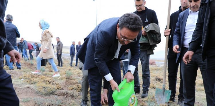 Yamula Barajında 12 Milyon Ağaç Dikiminden Sonra Erciyes’te Lavantayla Renkleniyor.