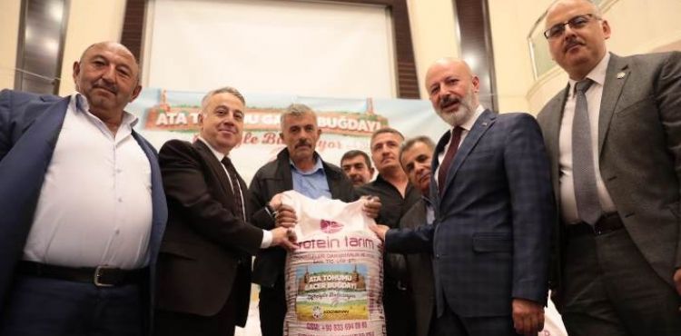 KOCASİNAN, ÇİFTÇİLERE ATA YADİGARI VE 28 KROMOZOMLU GACER BUĞDAYINI DAĞITTI