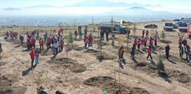 KOCASİNAN BELEDİYESİ, KIZILAY HAFTASI’NI AĞAÇLARLA TAÇLANDIRDI