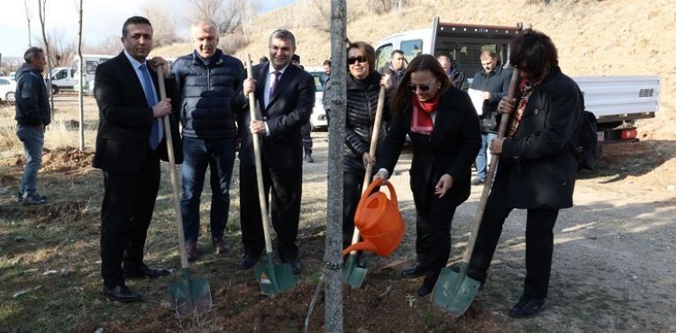 BYKEHRDEN ANLAMLI GNDE HATIRA ORMANI