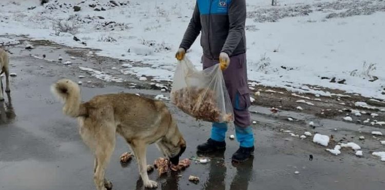 Btelerinden aldklar gdalarla sokak hayvanlarn besliyorlar  