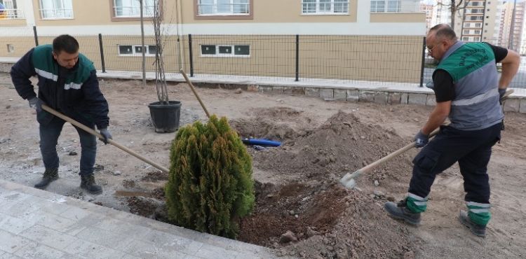 TALAS’TA AĞAÇLANDIRMA SEZONU AÇILDI