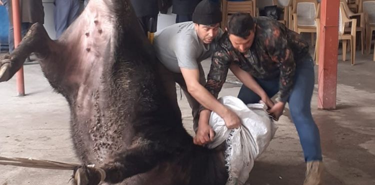 İncesulu vatandaşlar depremzedelere kurban kesti