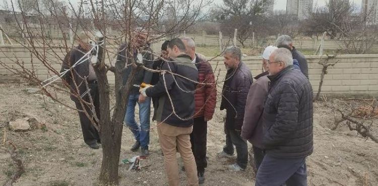 MELİKGAZİ’DEN ARICILIK EKONOMİSİNE DESTEK