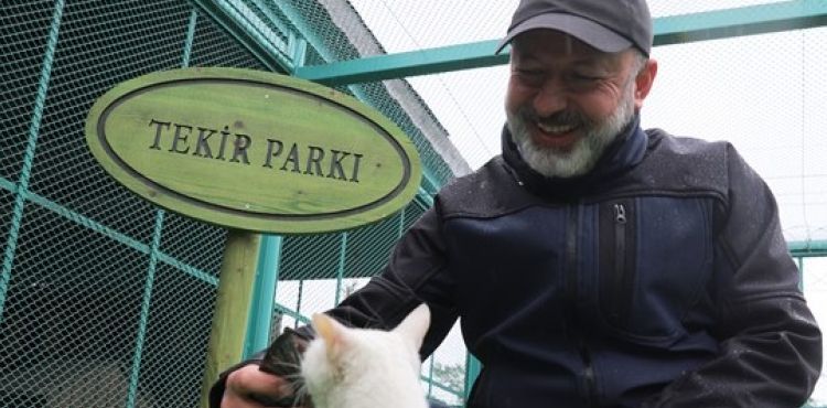 KAYSERİ’DE YİNE İLK OLAN ‘KÜÇÜK DOSTLAR KEDİ KASABASI’