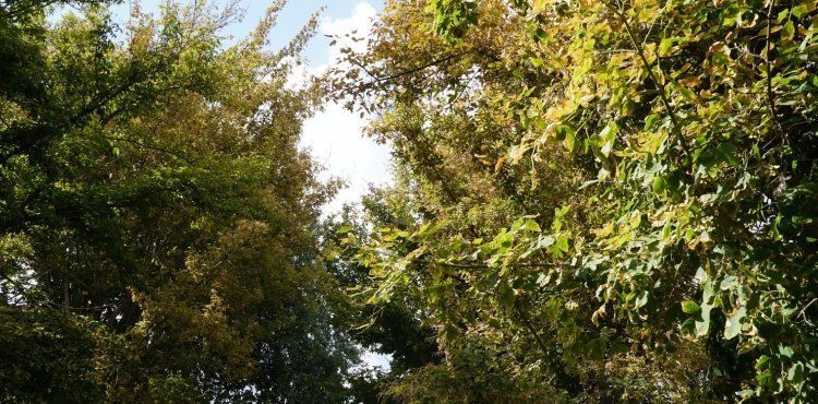 Kayseri'de yağışlar ara verecek, sıcaklar artıyor|