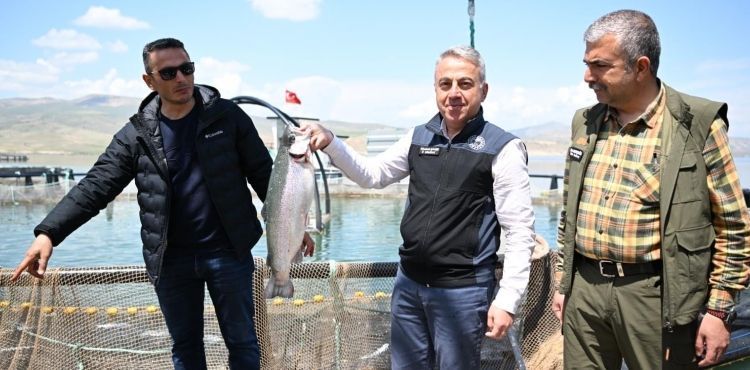 Denizi olmayan Kayseri’de somon hasadı