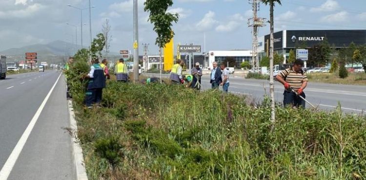 BÜYÜKŞEHİR’DEN KENTİN DÖRT BİR YANINDA YABANCI OTLARLA MÜCADELE