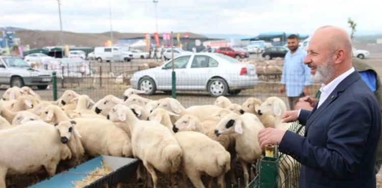 KAYSERİ’DE TEK, TÜRKİYE’YE ÖRNEK OLAN PROFESYONEL KURBAN HİZMETİ BAYRAMA HAZIR