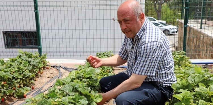 TALAS’TA DENEME BAHÇELERİYLE YENİ ÜRÜNLERE TEŞVİK