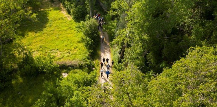 BYKEHRDEN KORAMAZ VADSݒNN DOAL GZELLN KORUYACAK KARAR