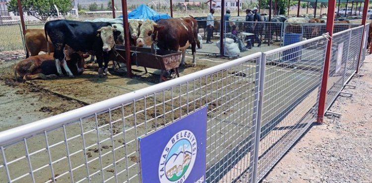 “TALAS KURBAN PAZARI’NDA BÜYÜK BİR HİZMET YAPILMIŞ”