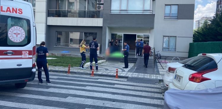 Kuşu kurtarayım derken canından oldu