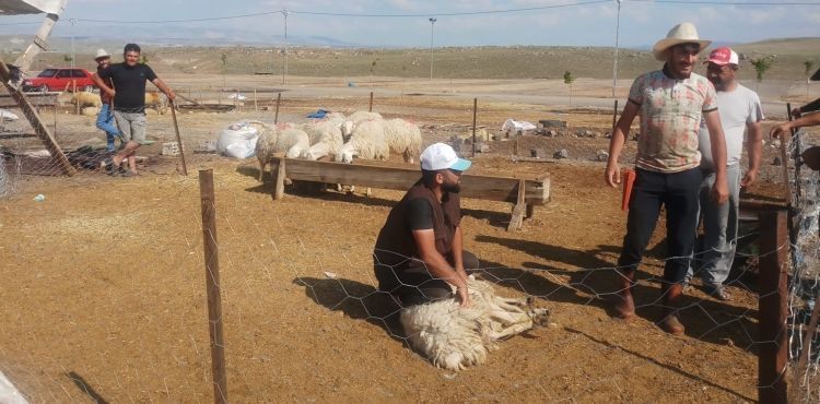 Bayramının son gününde satışlar devam etti