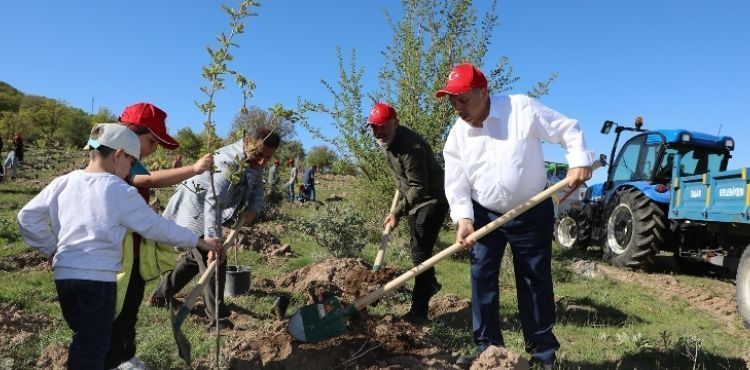DAHA YEŞİL BİR ALİ DAĞI’NA DOĞRU