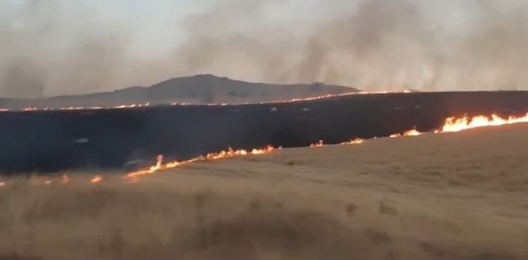 Bünyan yolundaki boş arazide yangın çıktı