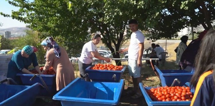 MELİKGAZİ’DE SALÇA KAYNATMA GÜNLERİNE YOĞUN İLGİ