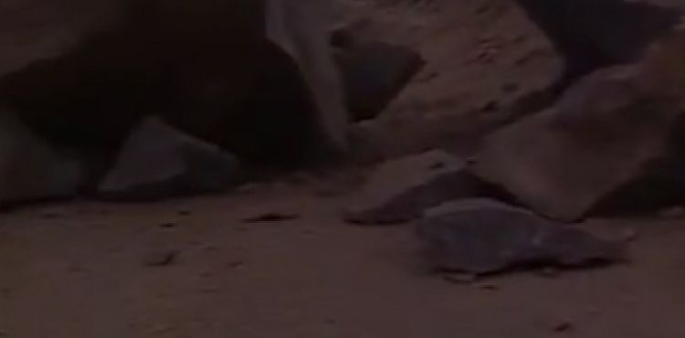Kayalıktan düşen parçalar yolu kapattı