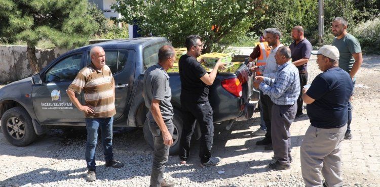 İncesu üzümü depremzedelere dağıtıldı