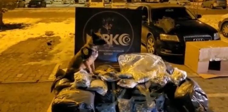 İçerisinde 116,5 kilo uyuşturucu bulunan TIR'da yakalanan şahıslar hakim karşısına çıktı