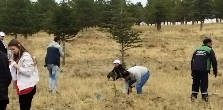 BÜYÜKŞEHİR, BÜNYAN’DA ÖĞRENCİLERLE 1000 ADET AĞAÇ DİKTİ