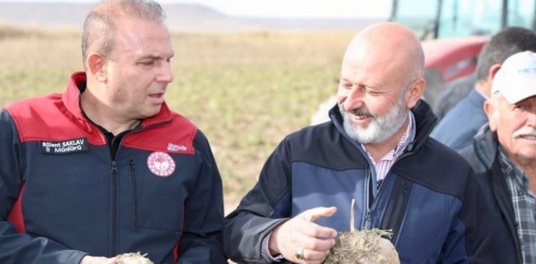 YAPILAN YATIRIMLARLA KOCASİNANLI ÇİFTÇİLERİN HASATTA YÜZÜ GÜLÜYOR
