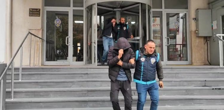 Bağ evi fareleri yakalandı