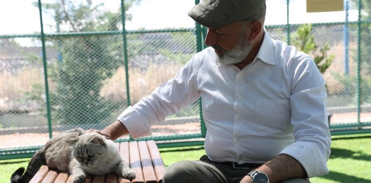 KOCASİNAN, KÜÇÜK DOSTLAR KEDİ KASABASI İLE GENÇLERE HAYVAN SEVGİSİ AŞILIYOR