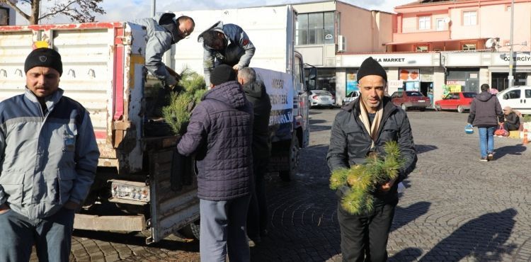 İncesu Belediyesi 5 bin çam fidanı dağıttı