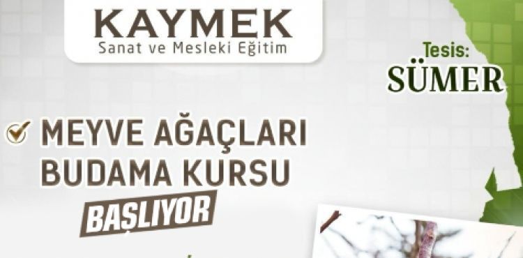 BÜYÜKŞEHİR KAYMEK’TEN BİR İLK: ‘MEYVE AĞAÇLARI BUDAMA KURSU’