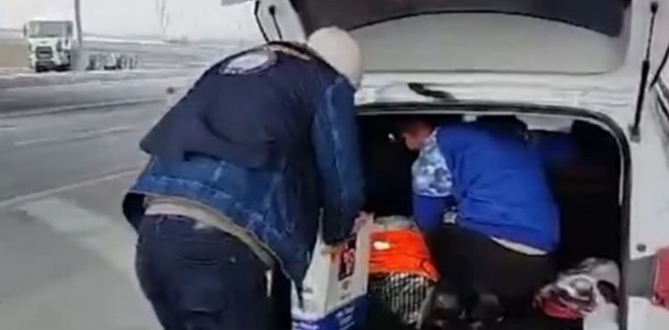 5 kaçak göçmen yakalandı