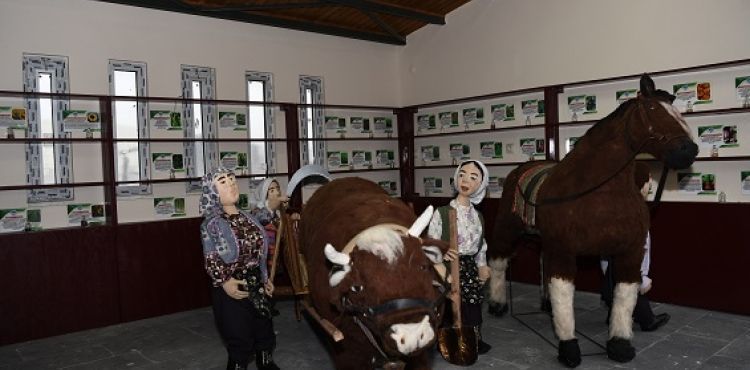 BÜYÜKŞEHİR’DEN DOĞAL ÜRETİM BAHÇESİ’NDE TOHUM BANKASI VE TARIM ALETLERİ ALANI