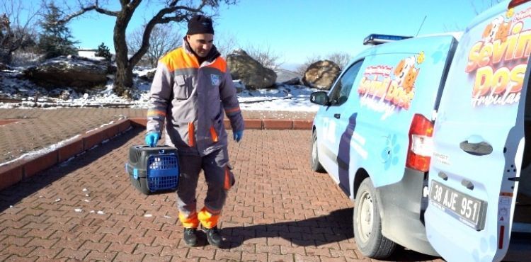 MELİKGAZİ'DE SAHİPSİZ VE YARALI HAYVANLAR “SEVİMLİ DOST AMBULANSI”NA EMANET