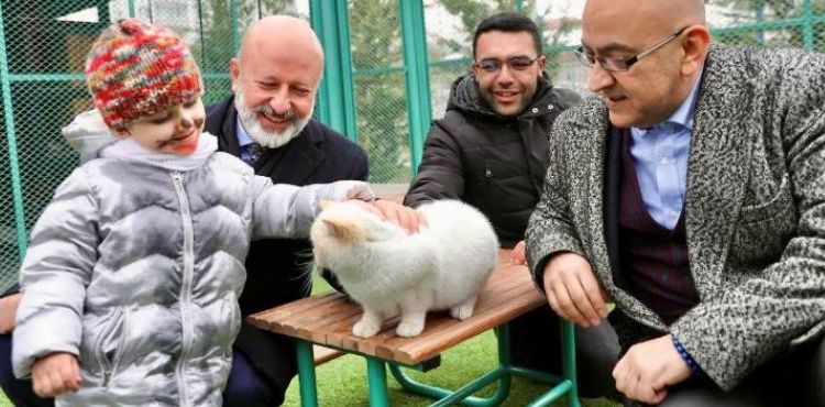 KOCASİNAN’DA KEDİ TEMALI FOTOĞRAF YARIŞMASI’NDA KAZANANLAR ÖDÜLLERİNİ ALDI