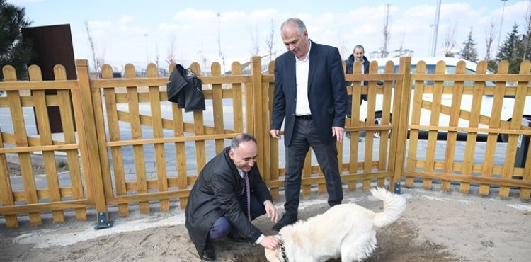 BÜYÜKŞEHİR’İN KÖPEK EĞİTİM PARKURU, MİLLET BAHÇESİ’NDE HİZMETE HAZIR