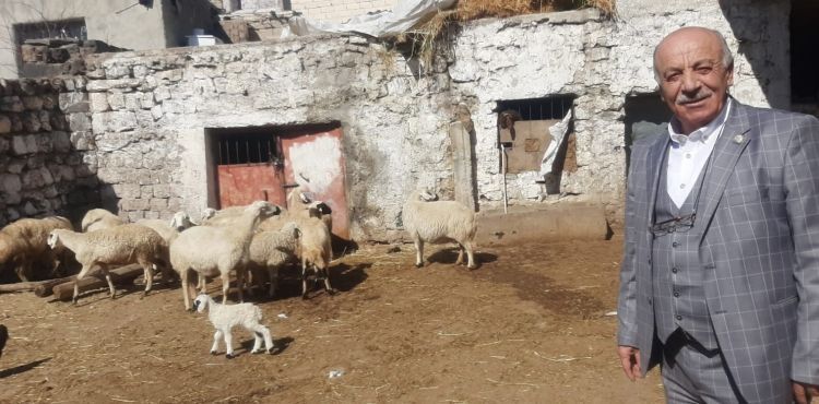 Hayvanları zehirlenerek telef olan besicilere yardım eli uzatıldı