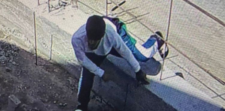 Testere hırsızlığı kamerada