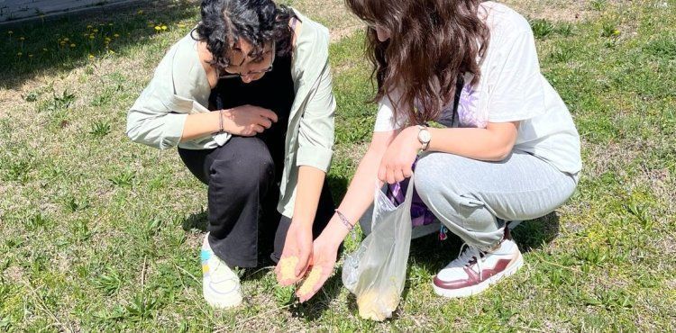Kampüsün simgesi ‘Gelengiler’ için Uyanma Zamanı