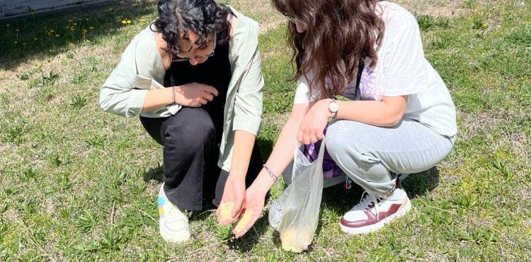 Kampsn simgesi Gelengiler iin Uyanma Zaman 