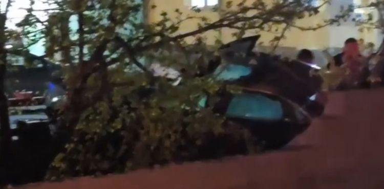 Feci kazada 1 ölü, 1’i ağır 2 yaralı