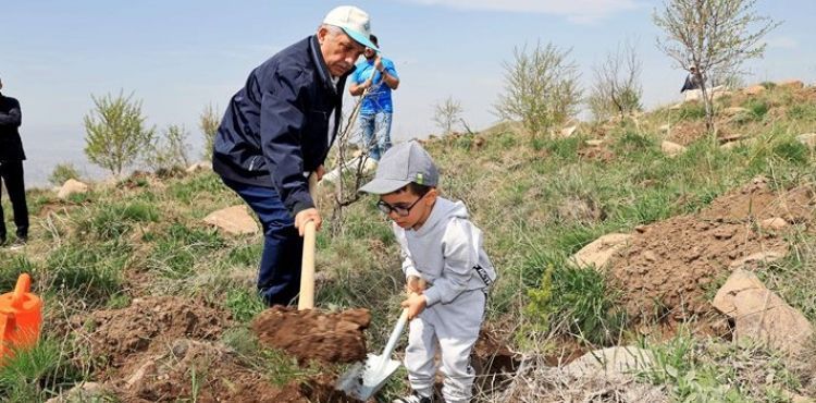 “BU AĞAÇLAR HEPİNİZİN SADAKASI”