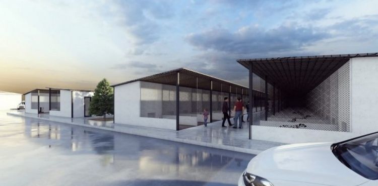 BAŞKAN PALANCIOĞLU’NDAN YENİ PROJE: SOKAK HAYVANLARI KÖYÜ