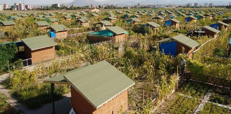 BÜYÜKŞEHİR’DE 2 BİN 543 ADET “HOBİ BAHÇESİ” İÇİN 22 BİNİ AŞKIN BAŞVURU