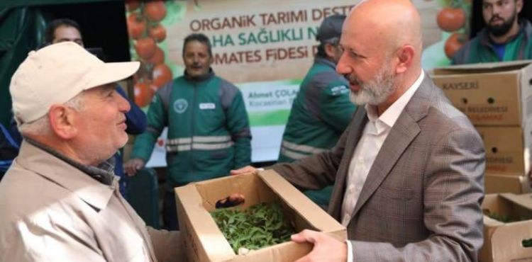 KOCASİNAN’IN DOMATES EFSANESİ, BU YIL DA HAYAT BULUYOR
