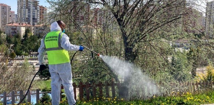 TALAS’TA SİNEK VE HAŞERATA ERKEN ÖNLEM