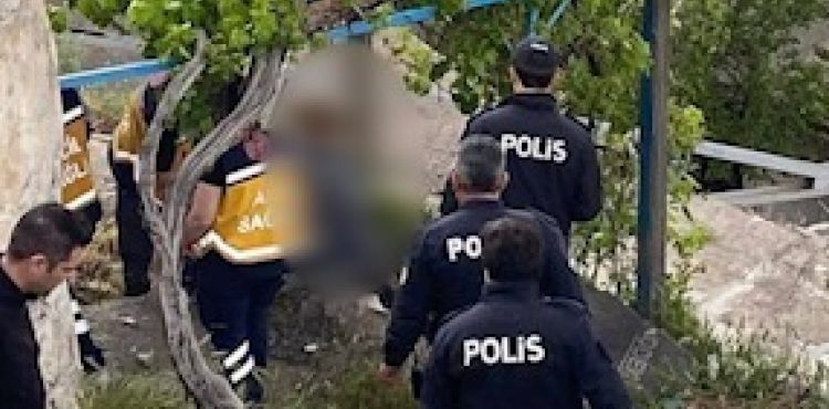 Asma ağacının altında yaşamına son verdi